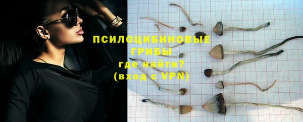 каннабис Магас