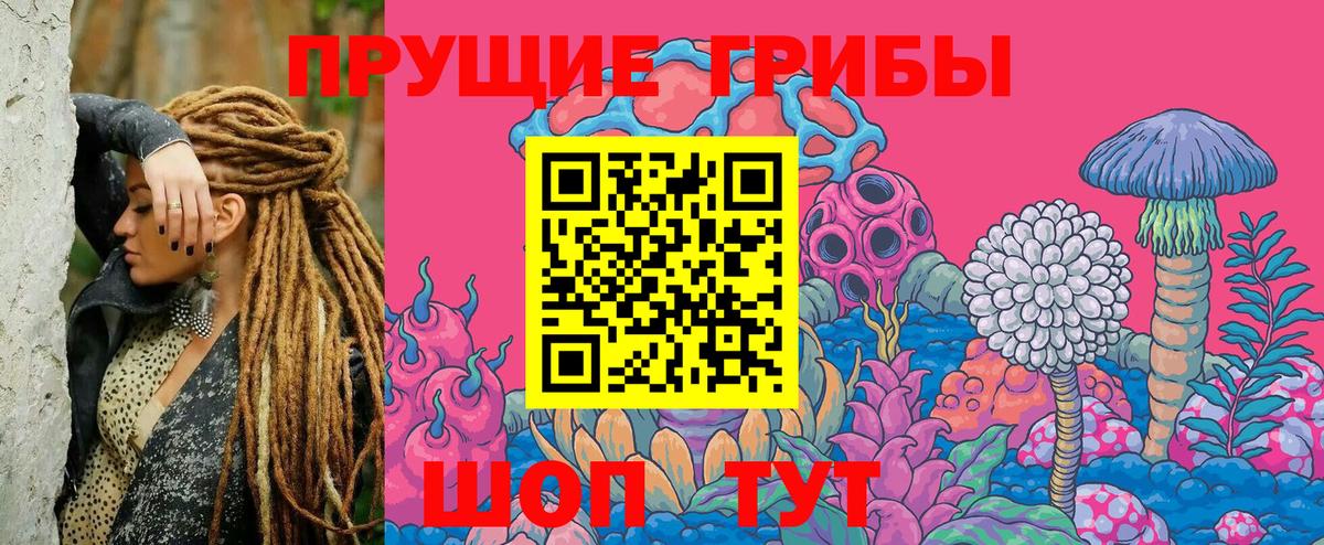 Псилоцибиновые грибы GOLDEN TEACHER Новоуральск