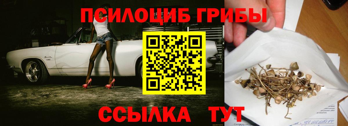 Новоуральск  Псилоцибиновые грибы Psilocybine cubensis  где купить наркотик  Вход с VPN  Псилоцибиновые грибы MAGIC MUSHROOMS 