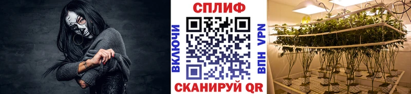 гидра tor  купить закладку  Новоуральск  Канабис LSD WEED 